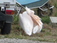 yJ̉HU